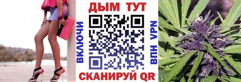 Канабис семена  даркнет сайт  Камызяк 